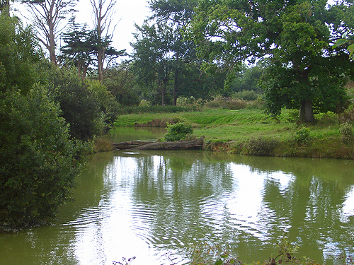 Begginers Carp Lake