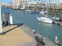 The Harbour - Ostend - Belgium - Neils Travel Web