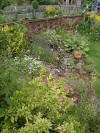 Helly's Garden