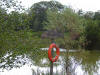 Octopussy Lake, Anglers Paradise - Devon - U.K.