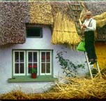 Thatcher at work - Ireland - Neils Travel Web