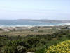 Palmares