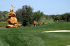 6th Silves